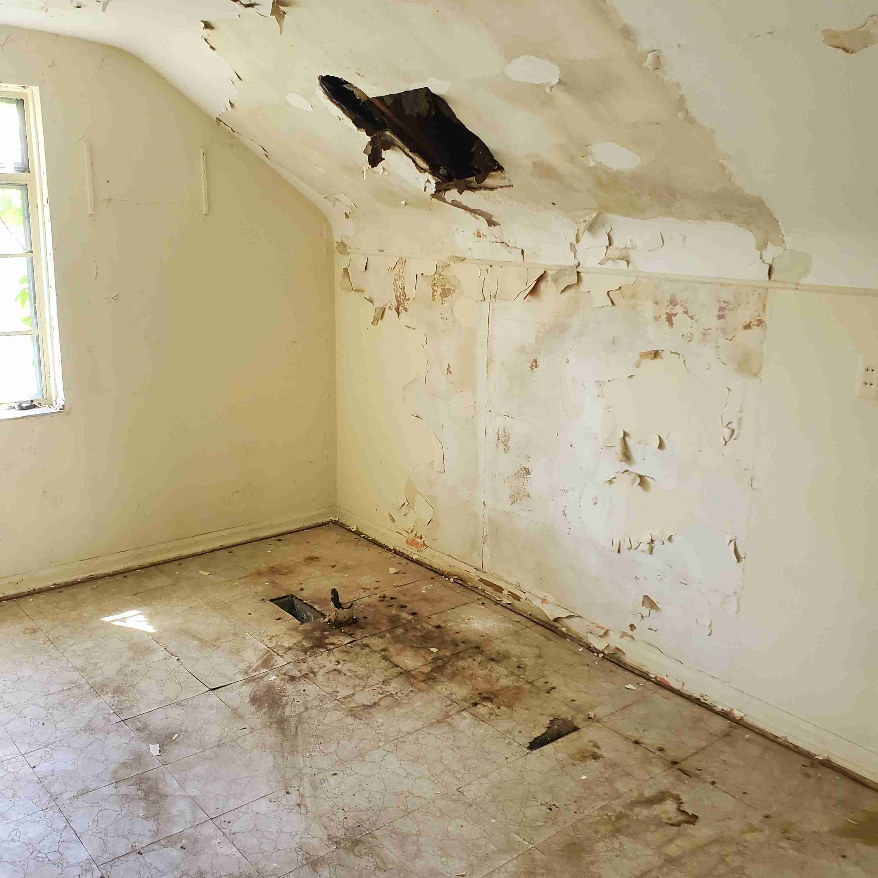 20200812_151019 (2).jpg